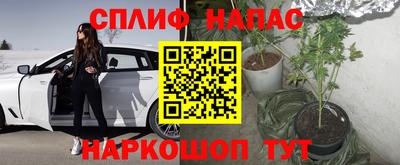 PSILOCYBIN Кимры