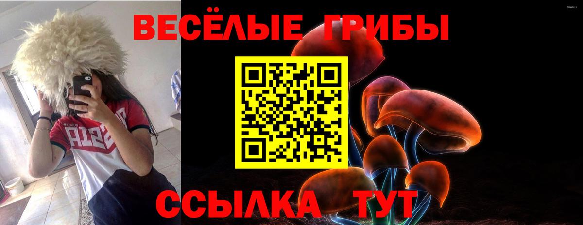 Галлюциногенные грибы GOLDEN TEACHER Ухта